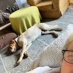 Nancy Bailey - @nancybailey_ - Instagram