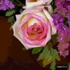 nankay - @nancybailey470 - TikTok