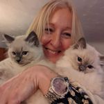 Nancy Bainbridge - @nancybainbridge - Instagram