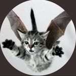 Nancy Bainbridge - @hoopernancybainbridge - Instagram