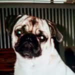 Nancy Baldock - @nancy_baldock - Instagram