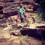 Nancy Boman Baldock - @cowpunk22 - Instagram