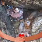 Nancy Balestra - @nancy.balestra.71 - Instagram