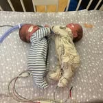 Nancy Ballinger Purcell - @nance613 - Instagram