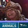 Nancy Bellinger - @nancybellinger - TikTok