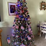 Nancy Bancroft Hopkins - Facebook