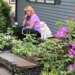 Nancy Bannister - @nancybannister42 - Instagram