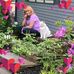 Nancy Bannister - Facebook
