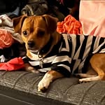 Nancy Banuelos Gonzalez - @nancybgonzalez67 - Instagram
