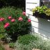 Nancy Baran - Facebook