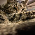 Nancy Barbieri - @nancy.barbieri.585 - Instagram