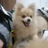 Nancy Barco - @nancy.barco1 - TikTok
