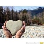 nancy bardwell - @onthego_nana - Instagram
