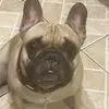 nancybarfieldsmit - @nancybarfieldsmit - TikTok