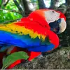 nancybaril882 - @nancybaril882 - TikTok