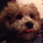 Nancy Barranco - @nbarranco1962 - Instagram