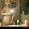 NANCY BARRAZA - @nancy.barraza96 - TikTok