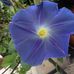 Nancy Bartkowiak - Facebook
