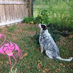 Nancy Bartkowiak - @flndb51 - Instagram