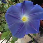 Nancy Dayton-Bartkowiak - @daytonbartkowiak - Instagram