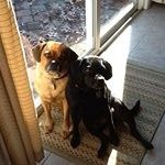 Nancy Bartley - @nancy_smartley - Instagram