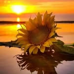 Nancy Bartolo - @nancy.bartolo.71066 - Instagram