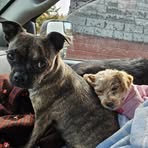 Nancy Bartos - Facebook