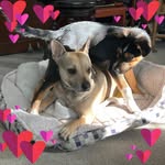 Nancy Bartosik Marston - @gud.dgz - Instagram