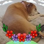 Nancy Bartz - @bill_nancy14009 - Instagram