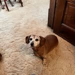 Nancy Bartz - @nancybartz - Instagram