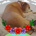 Nancy Bartz - Facebook