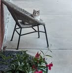 Nancy Bartz - Facebook