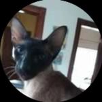 Nancy Barwick - @nancybarwiick4378 - Instagram