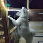 Nancy Baskin - @nancy.baskin.3 - Instagram