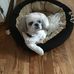 Nancy Baskins - Facebook
