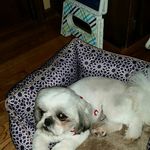 Nancy Oliver Baskins - @nancybaskins - Instagram