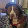 nancybass79 - @nancybass79 - TikTok