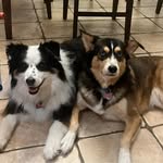 Nancy Batten - @nanci3810 - Instagram
