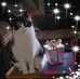 Nancy Battin - Facebook