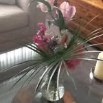 Nancy Battle - @nalyn1216 - Instagram