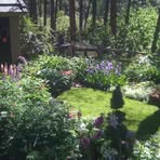 Nancy Baumgardner - Facebook