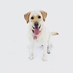 Nancy Baumgart Hoffman - @nancyhoffman_sunny - Instagram