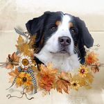 Nancy Baumgartner - @nancy.baumgartner.9 - Instagram