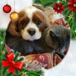 Nancy Baumgartner Thompson-Johnson - @nancythompsonjohnson - Instagram