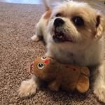 Nancy Bay - @bay3847 - Instagram