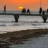 Nancy Morris Beachler - @nancy.morris.beac - TikTok