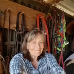 Nancy Beall Buxton - @nancybeallbuxton - Instagram