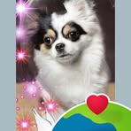 Nancy Beamish - Facebook