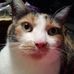 Nancy Beanblossom - Facebook