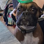 Nancy Schoenberger Beanblossom - @schoenbergerbeanblossom - Instagram